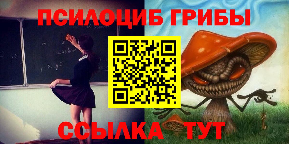 Галлюциногенные грибы Psilocybe Тимашёвск