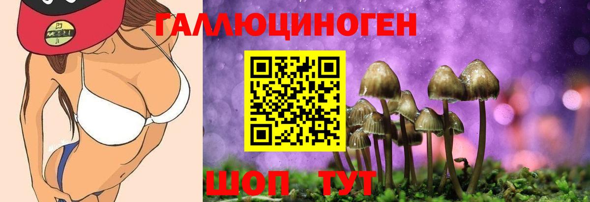купить наркоту  Вход с VPN  Тимашёвск  Галлюциногенные грибы Magic Shrooms 